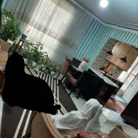آپارتمان ۶۰ متری یک خوابه فول|اجارهٔ آپارتمان|تهران, حبیب الله|دیوار