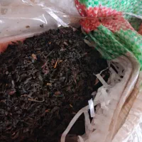 چای|خوردنی و آشامیدنی|تاکستان, |دیوار