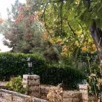 خوابگاه-دخترانه
