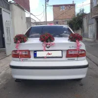 سمند ملی۹۶|خودرو سواری و وانت|پارس‌آباد, |دیوار