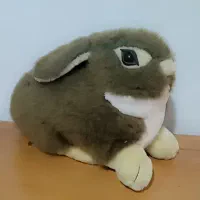 عروسک|اسباب‌بازی بچه|ملارد, |دیوار