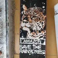 اسکیت برد حرفه‌ای ۴ تا چرخم چراغ دارم