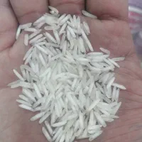 برنج دل|عمده‌فروشی|بجنورد, |دیوار