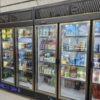 یخچال دو متری فروشگاهی|فروشگاه و مغازه|دوگنبدان, |دیوار