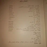 هَملِت|کتاب و مجله تاریخی|بهارستان, |دیوار