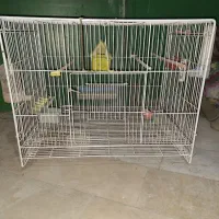 قفس پرنده