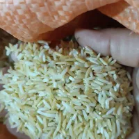 برنج مناسب دودی هاشمی