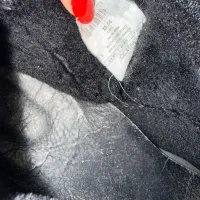 لباس مجلسی|لباس|تبریز, |دیوار