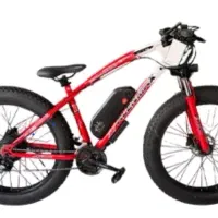 دوچرخه برقی قدرتمند با گارانتی|دوچرخه، اسکیت، اسکوتر|تبریز, |دیوار