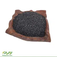 بذر پیاز طلایی بشرط|گل و گیاه طبیعی|شیراز, اصلاح‌نژاد|دیوار