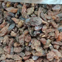کشمش|خوردنی و آشامیدنی|گرگان, |دیوار