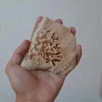 فسیل برگ