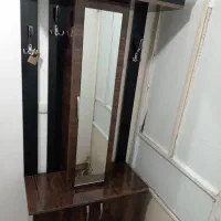 جاکفشی سالم