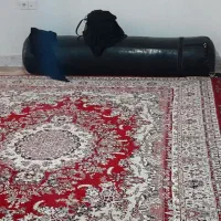 کیسه بوکس درحد