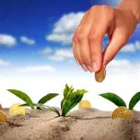 فروش فوری پول لازم زمین 800 متری فقط متری 520
