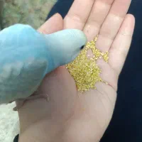 مرغ عشق رام