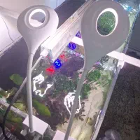 نور اکواریوم