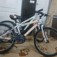 دو عدد دوچرخه ۲۴