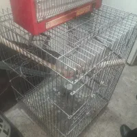 قفس|صندلی و نیمکت|قزوین, |دیوار