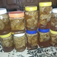 عسل وحشی|خوردنی و آشامیدنی|آبپخش, |دیوار