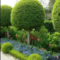 باغبانی اسلامشهر کرج عظیمیه