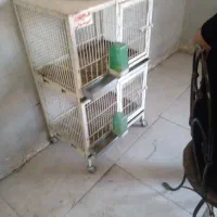 فروش قفس دو طقبه کبوتر