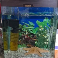 آکواریوم شیشه خم با تجهیزات داخلش