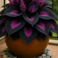 دوتا ضامن میخوام