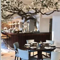 اجرای تخصصی درخت شکوفه گل ارایی گرین وال|گل مصنوعی|اصفهان, خواجو|دیوار