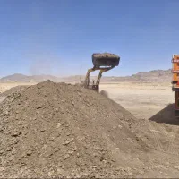 کود مرغی سالنی