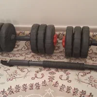 دمبل