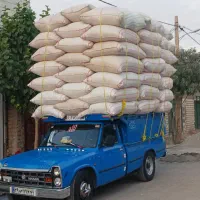 کاه گندم دیم. کاه خرمنکوبی کرمانشاه کیسه شده اماده