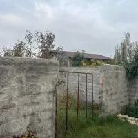 شمال سیمرغ کیاکلا