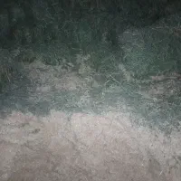 کاه و یونجه