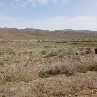 زمین فولادمحله