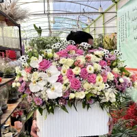 دسته گل و باکس گل