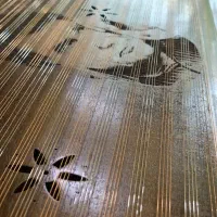 سنتور پرشور /