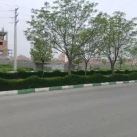 مشارکت در ساخت