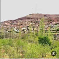 زمین مسکونی