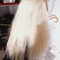 اموزش اکستنشن مو با مدرک معتبر فنی حرفه ای|خدمات آموزشی|تبریز, |دیوار