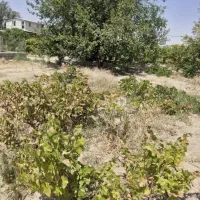 باغ دلیجان زیر اداره برق|فروش خانه و ویلا|دلیجان, |دیوار