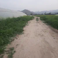 اجاره-گلخونه