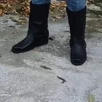 کفش اسب سواری کامل چرم