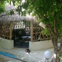 پذیرایی|خدمات پذیرایی، مراسم|پاریز, |دیوار