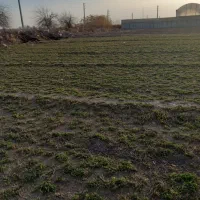 زمین مناسب باغچه