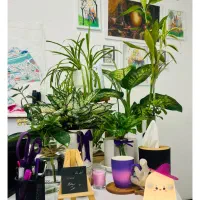 استخدام مشاور فروش در دپارتمان ماهور