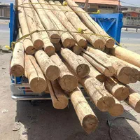 خریدارتیر چوبی خشک سقفی وانواع چوب تر
