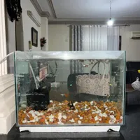 آکواریوم کوچک و نقلی