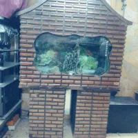 آکواریوم|ماهی|پاکدشت, پاکدشت (مامازند)|دیوار