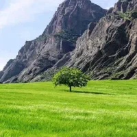 اردو طبیعت گردی